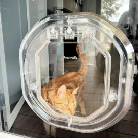Patio Door Cat Door - Cat Door in Glass