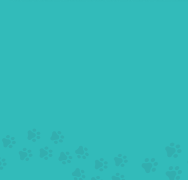 blue background with paw prints