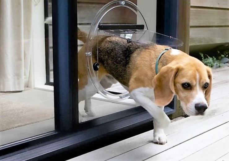 Dog Doors