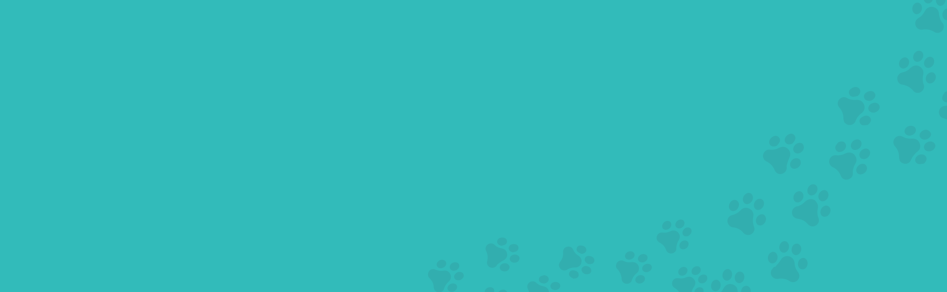 blue background with darker blue paw prints