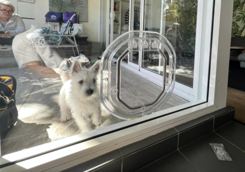 Sydney Pet Doors - Pet door fitting and training for dog doors