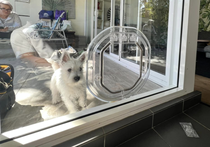 Sydney Pet Doors - Pet door fitting and training for dog doors