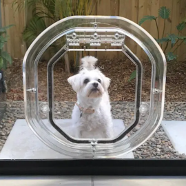 Glass Dog Door - Dog Door installation Sydney