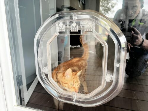 Pet Doors Sydney - Supply and Installation