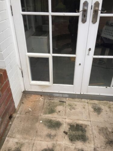 dog-door-french-door-2