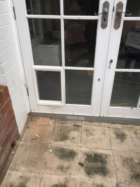 dog-door-french-door-2