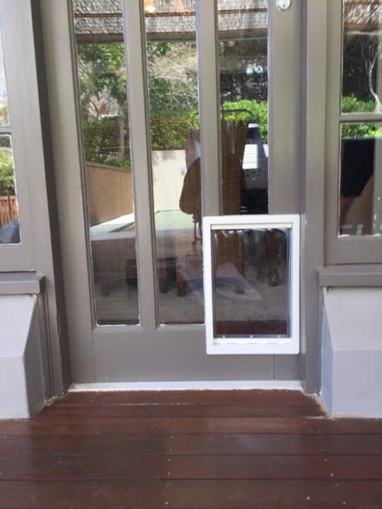 dog-door-french-door-4