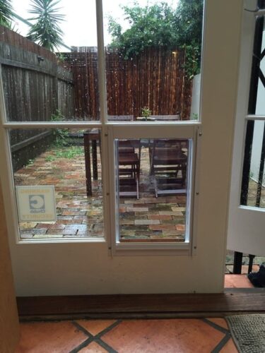 dog-door-french-door-41