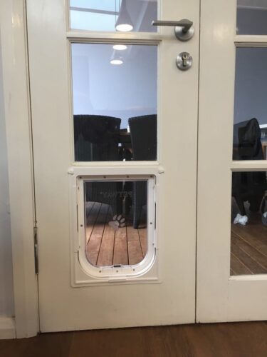 dog-door-french-door-6