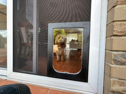 Screen Dog Door & Installation - Dog door - Screen door