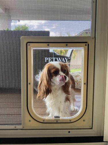 Screen Dog Door & Installation - Dog door - Screen door