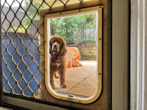Screen Dog Door & Installation - Dog door - Screen door