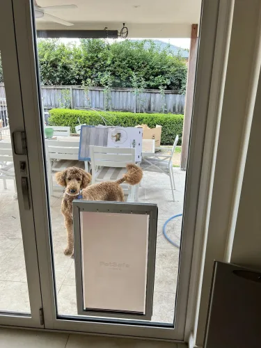 Large dog door for glass - Large Dog Door installation around Sydney