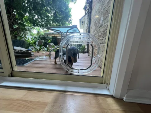 Small Dog Door for Glass - Dog Door Fitting