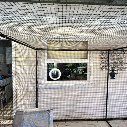 Glass Cat Door and Installation Sydney