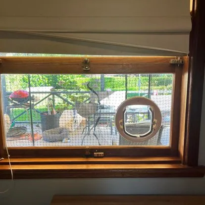Glass Cat Door and Installation Sydney