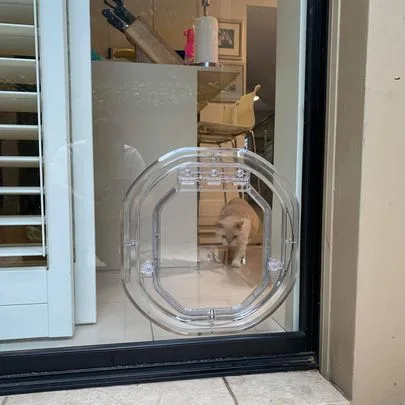 Cat Glass Door - Cat Door Fitting Sydney - Cat door for sliding door