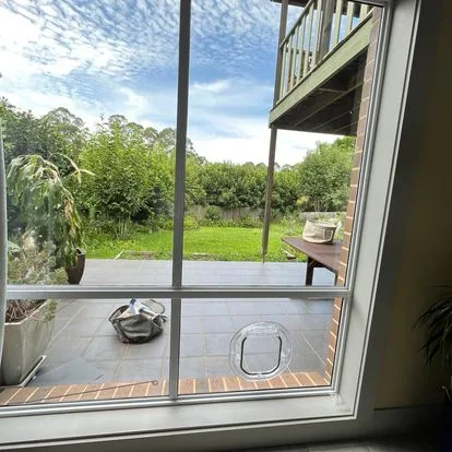 Glass Cat Door and Installation Sydney