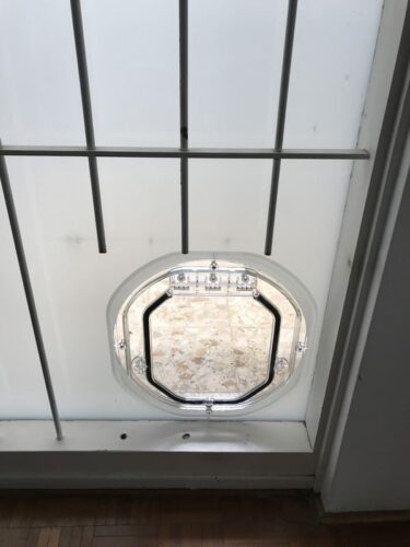 Glass Dog Doors - Dog Door Fitting Sydney