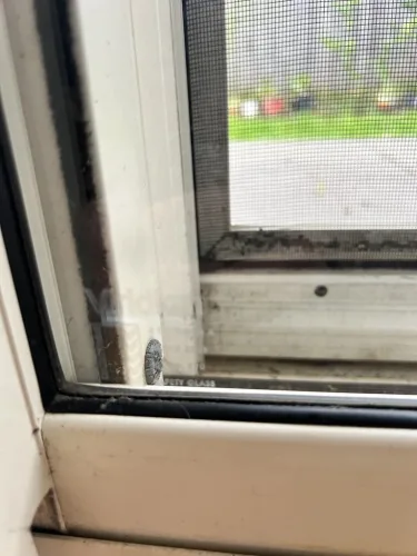 Dog doors for Sliding doors with toughened glass