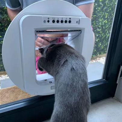 Microchip Cat Door - Cat Door Fitting Sydney