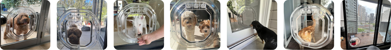 Dog Doors in Glass - Dog Door Fitting Sydney