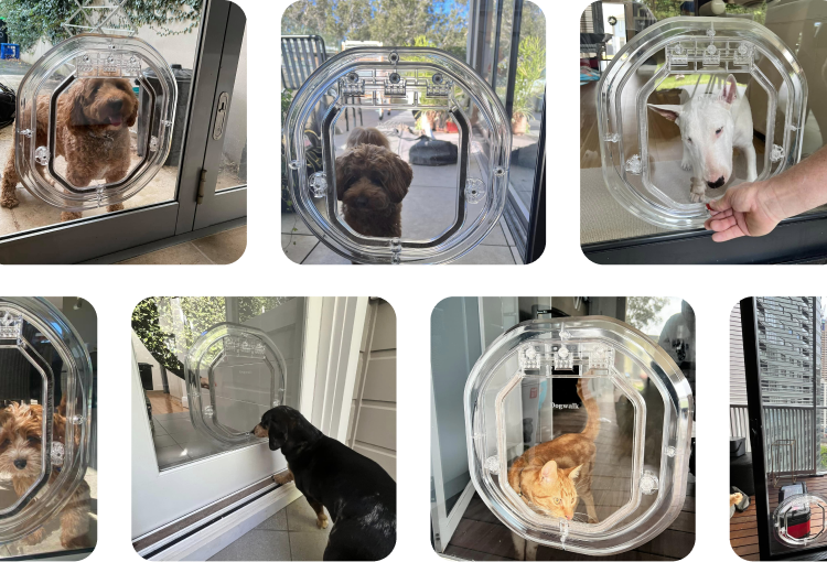 Sydney Pet Doors - Dog Door Fitting Sydney